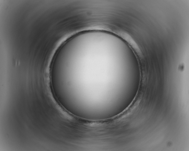 X0000102851380200808181407