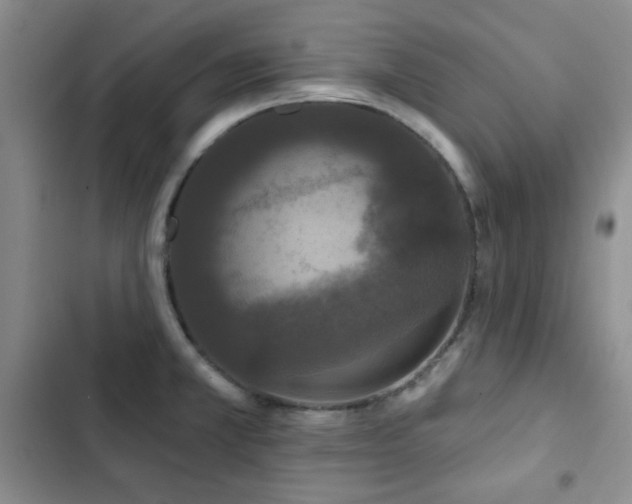 X0000102851381200808181407