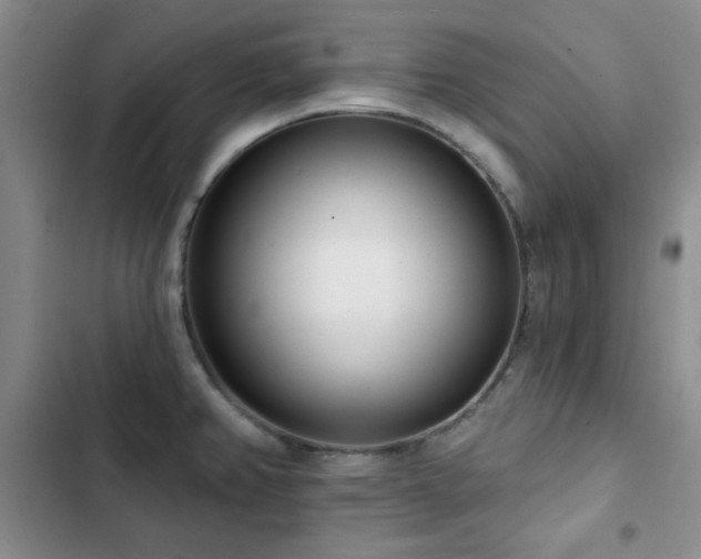 X0000102851382200808181407