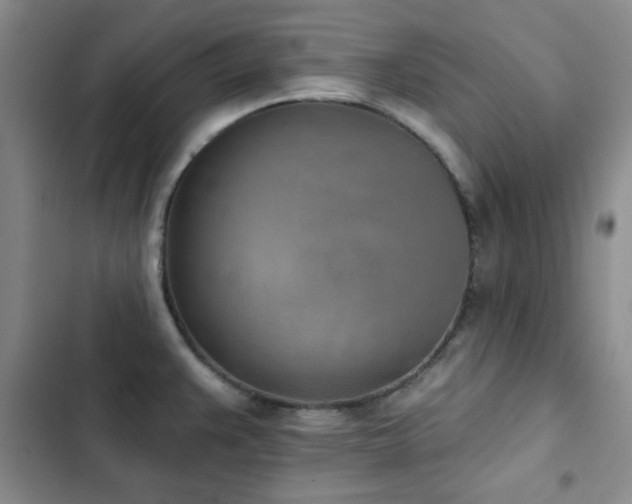 X0000102851383200808181407