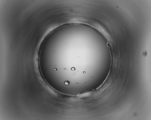 X0000102851384200808181407