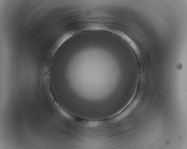 X0000102851385200808181407