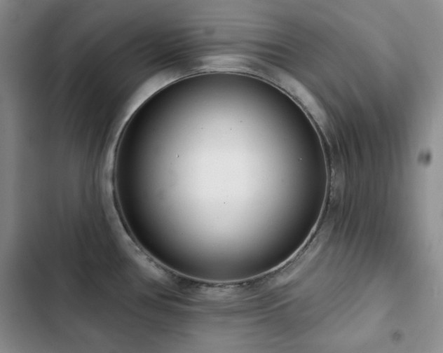 X0000102851386200808181407