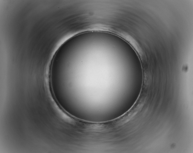 X0000102851387200808181407