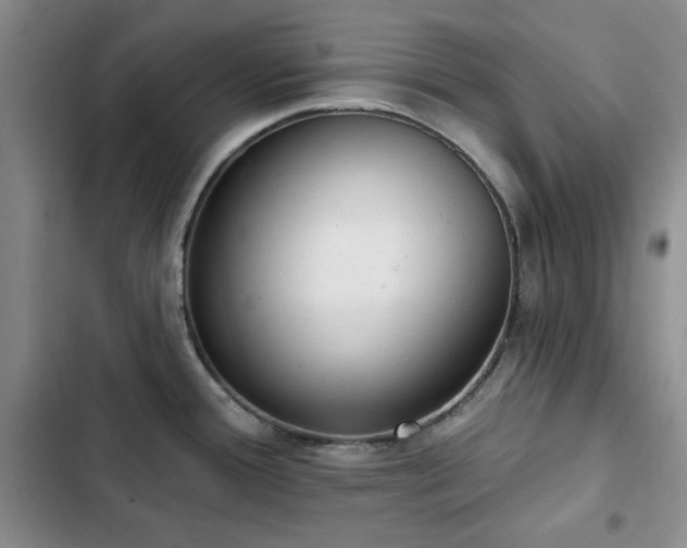 X0000102851388200808181407