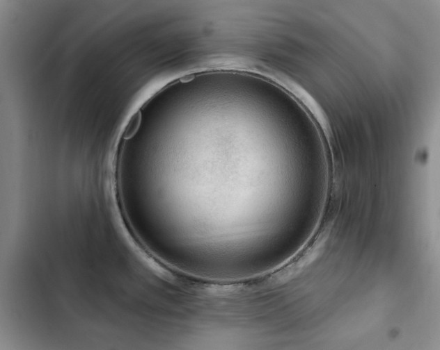X0000102851389200808181407