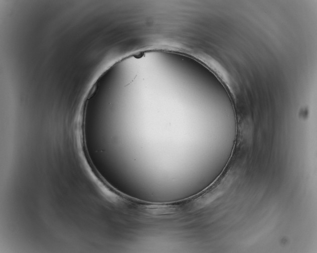 X0000102851391200808181407