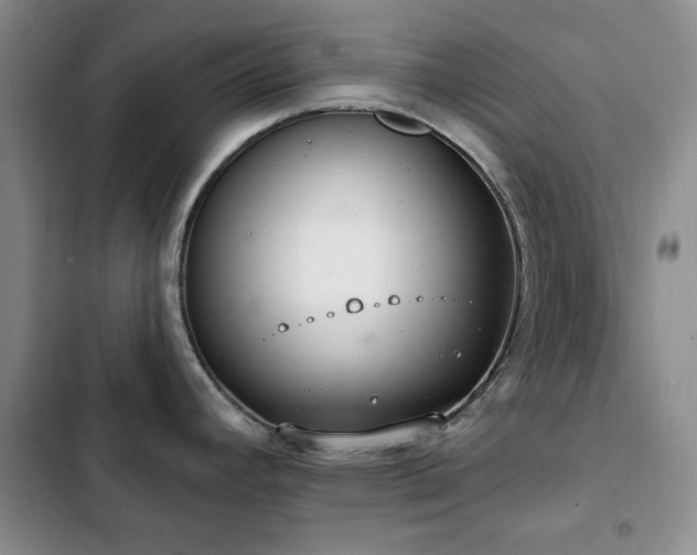 X0000102851392200808181407