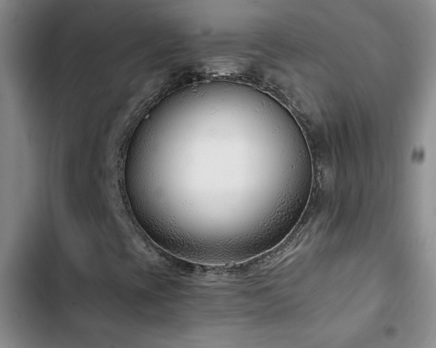 X0000102851393200808181406