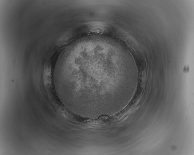 X0000102851394200808181406
