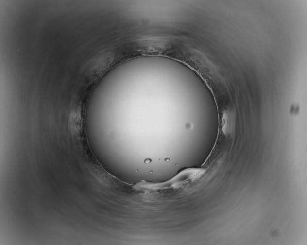 X0000102851395200808181406