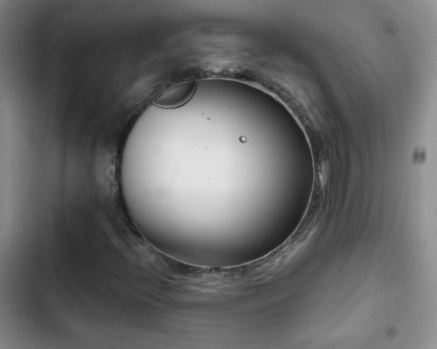 X0000102851396200808181406