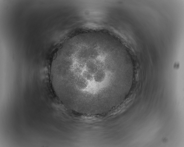 X0000102851397200808181406