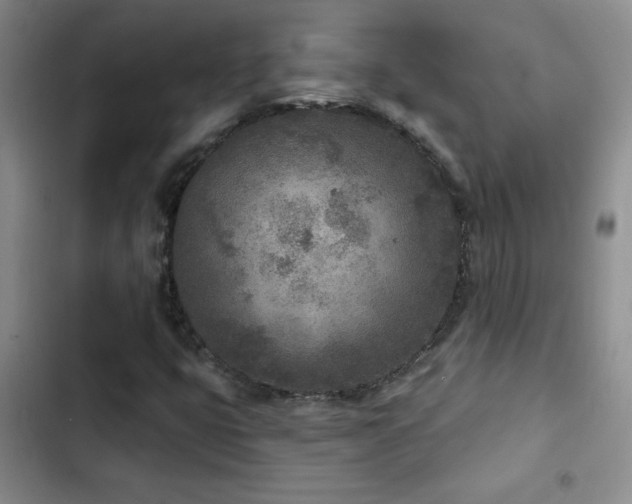 X0000102851399200808181407