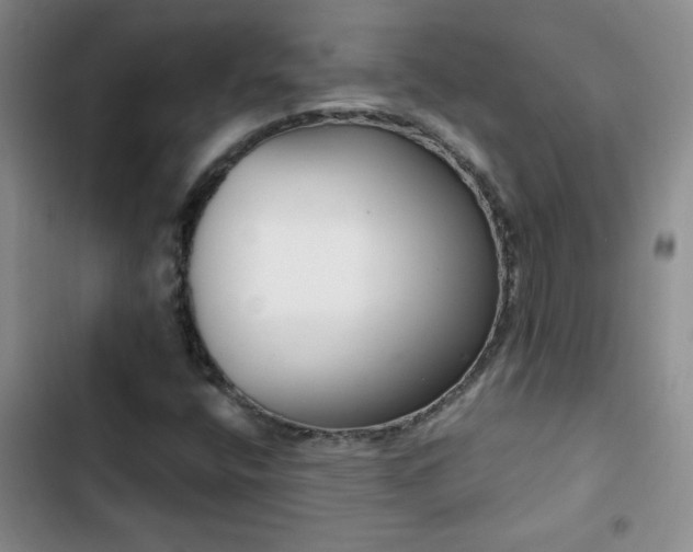 X0000102851400200808181407