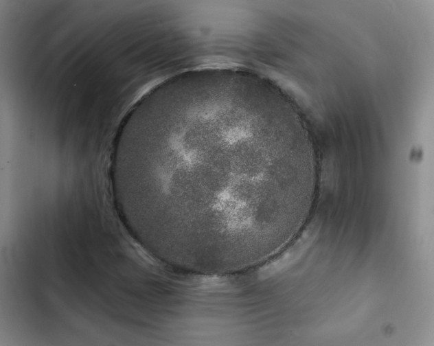 X0000102851401200808181407