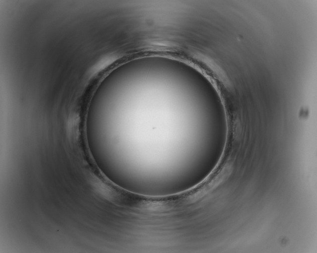 X0000102851402200808181407