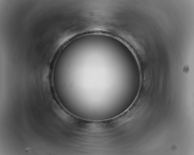 X0000102851404200808181407