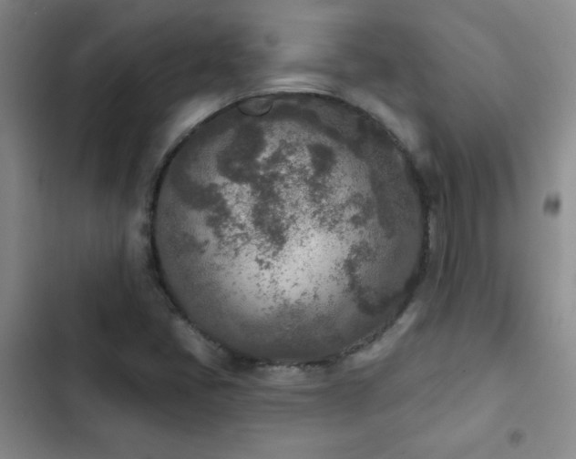 X0000102851405200808181407