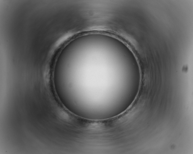 X0000102851406200808181407