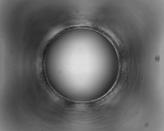 X0000102851407200808181407