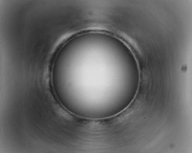 X0000102851408200808181407