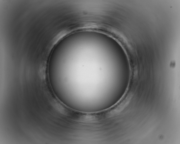 X0000102851409200808181407