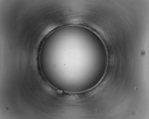 X0000102851410200808181407