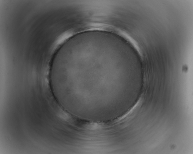 X0000102851411200808181407