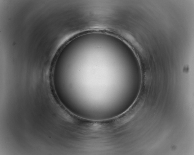 X0000102851412200808181407