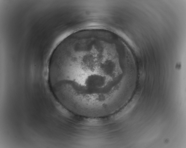 X0000102851413200808181407
