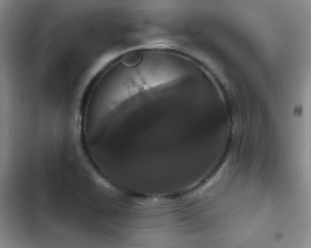 X0000102851414200808181407