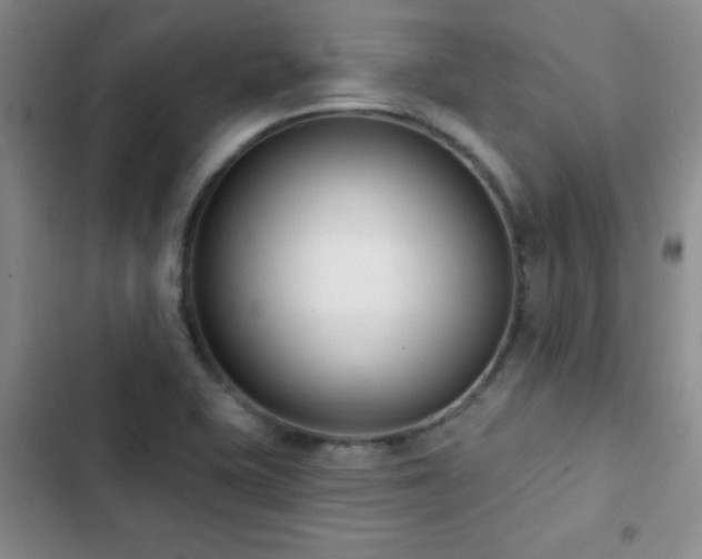X0000102851415200808181407