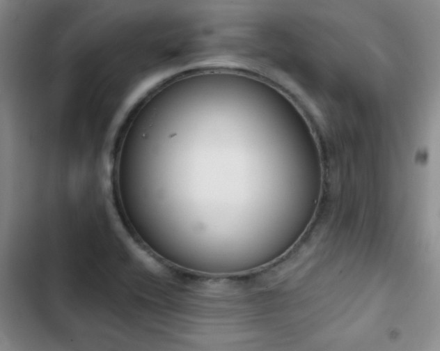 X0000102851416200808181407