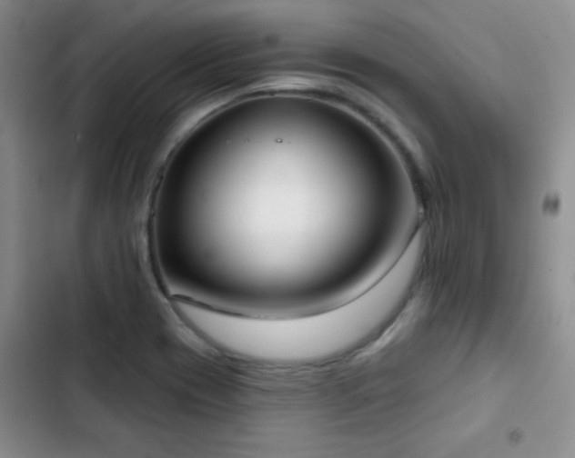 X0000102851417200808181407