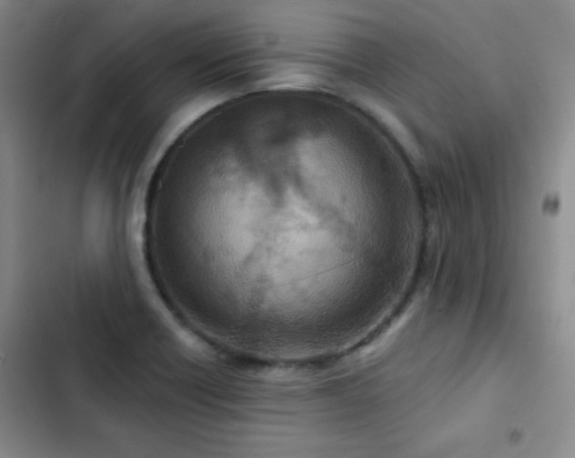 X0000102851418200808181407
