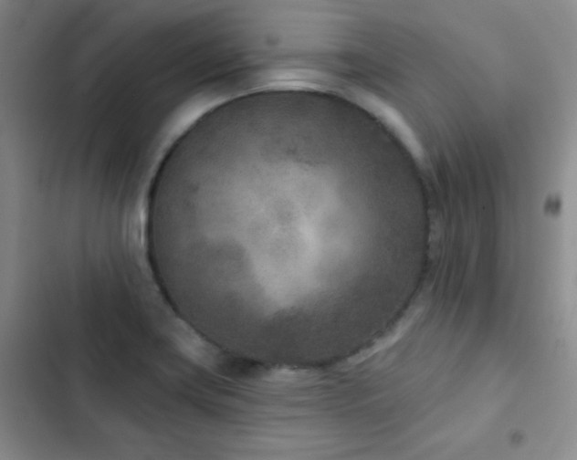 X0000102851419200808181407