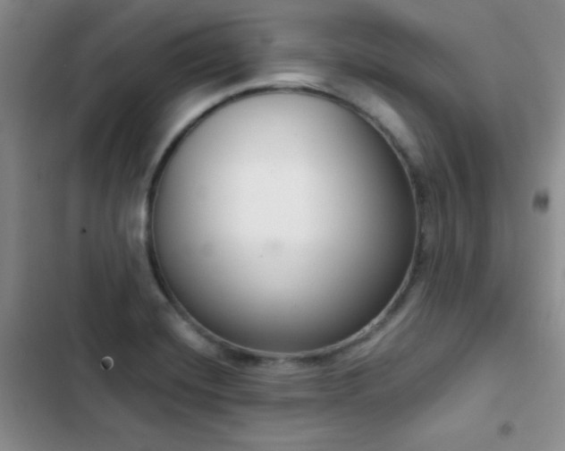X0000102851420200808181407