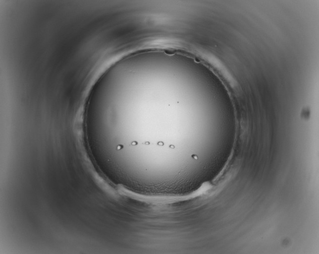 X0000102851421200808181407