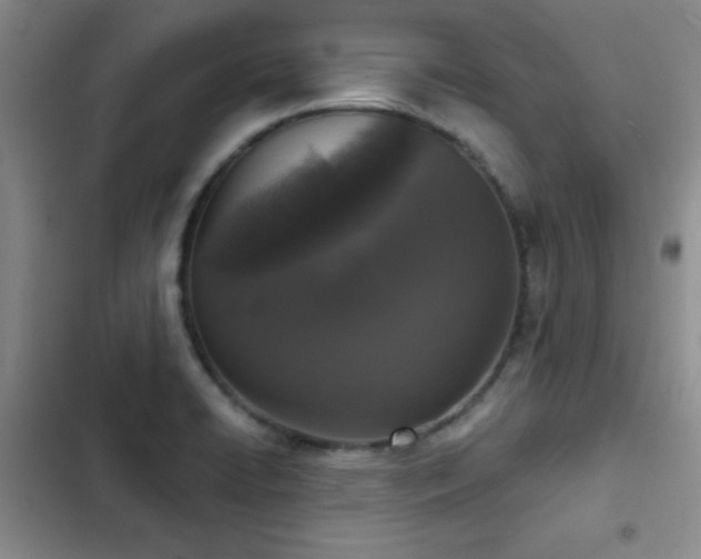 X0000102851422200808181407