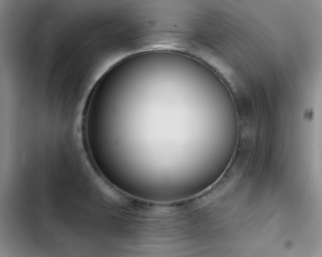X0000102851423200808181407