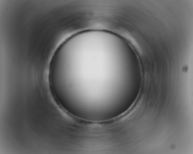 X0000102851424200808181407