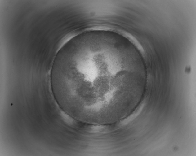 X0000102851425200808181407