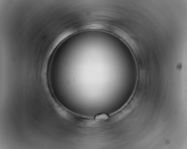 X0000102851426200808181407