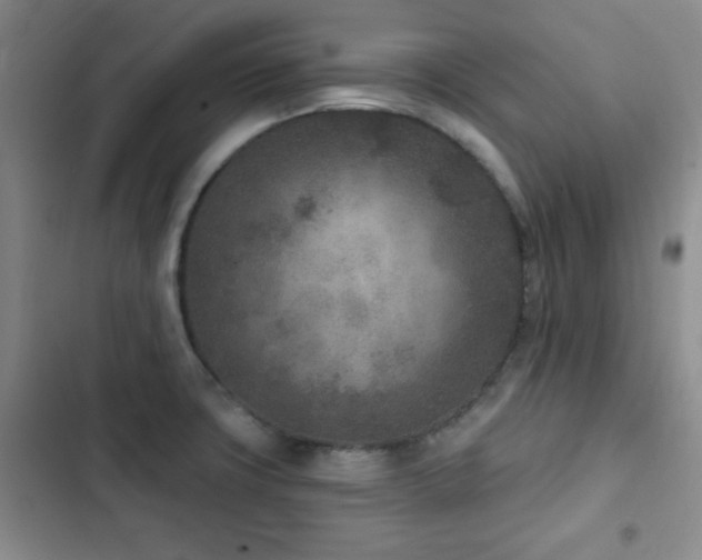 X0000102851427200808181407