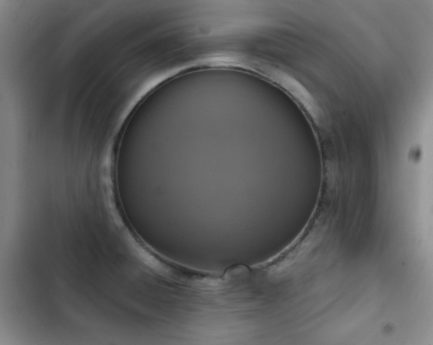 X0000102851428200808181407
