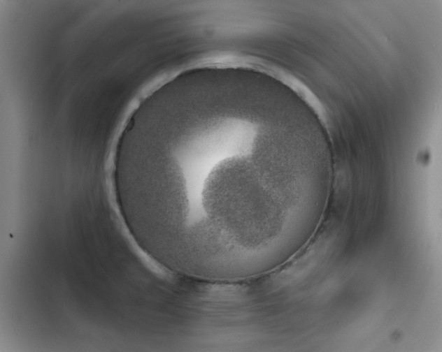 X0000102851429200808181407