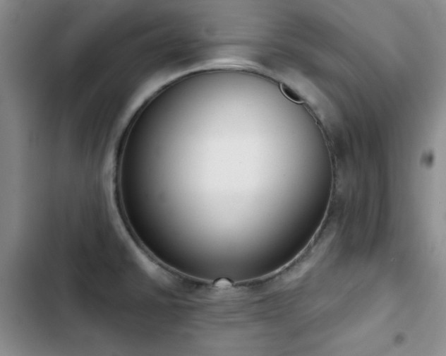 X0000102851430200808181407