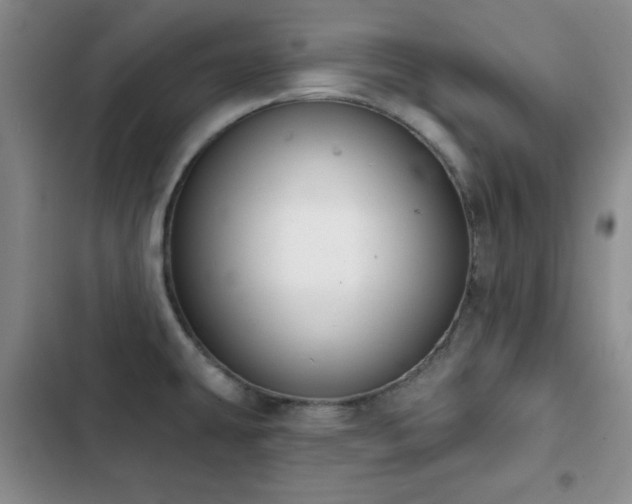 X0000102851431200808181407