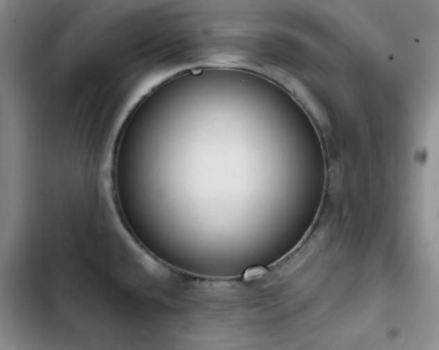 X0000102851432200808181407